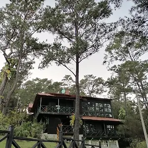 Hoyo 20 Chalet